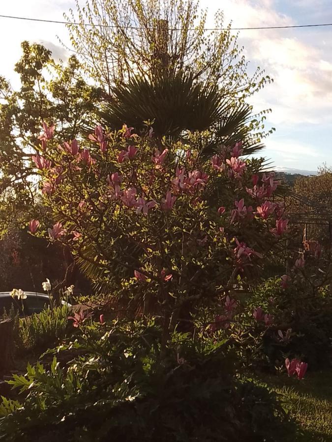 哥尔顿Magnolia公寓 外观 照片